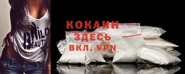 мдпв Кулебаки