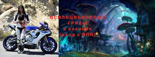 мдпв Кулебаки