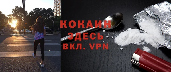 стаф Кукмор