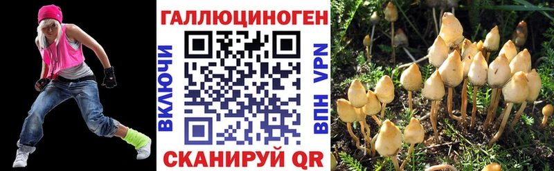 Псилоцибиновые грибы мухоморы  Купить закладки  Вяземский 